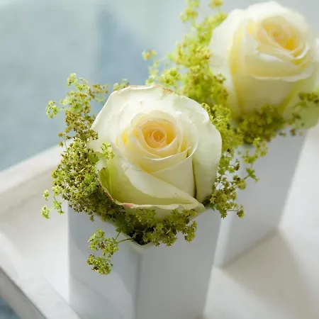 *aalto* * Витдюн