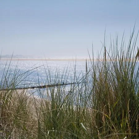 Апартаменты *aalto* *